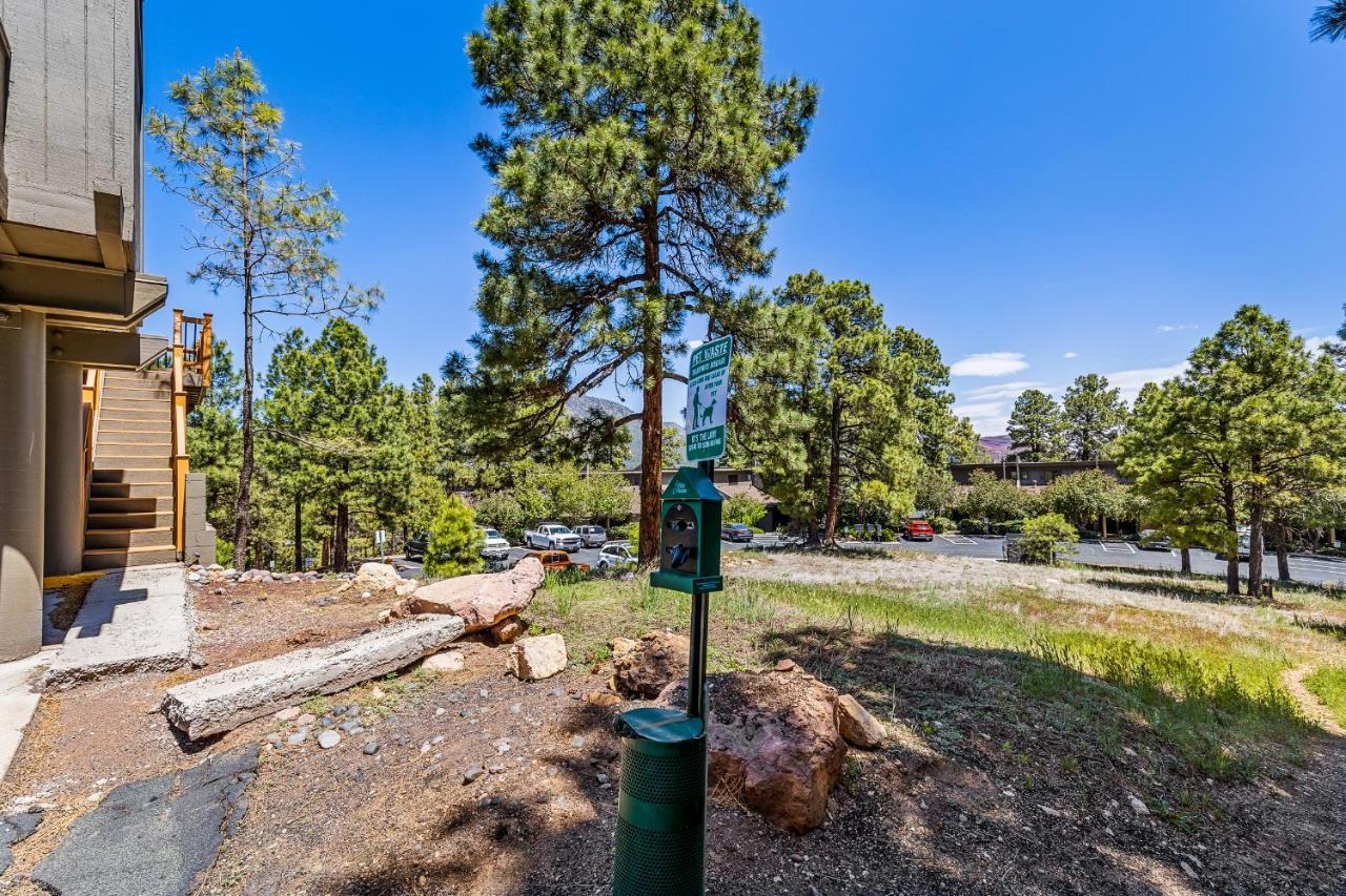 Delightful 1 Bdrm Country Club Retreat With Mt Elden Views! Villa Flagstaff Eksteriør bilde